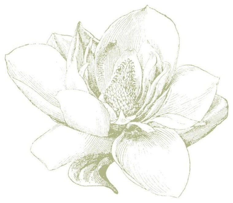 "Le Jardin Printemps Pattern I Magnolia" Paper Print by Sue Schlabach, 22"x26"