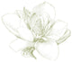 "Le Jardin Printemps Pattern I Magnolia" Paper Print by Sue Schlabach, 22"x26"
