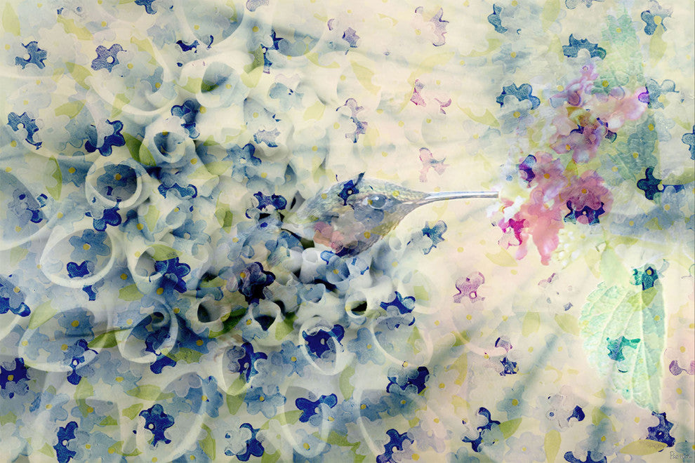 "Humming" Fine Art Canvas Print, 24"x16"