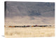 "Incredible Maasai" Stretched Canvas Giclee by Mathilde Guillemot, 22x17"