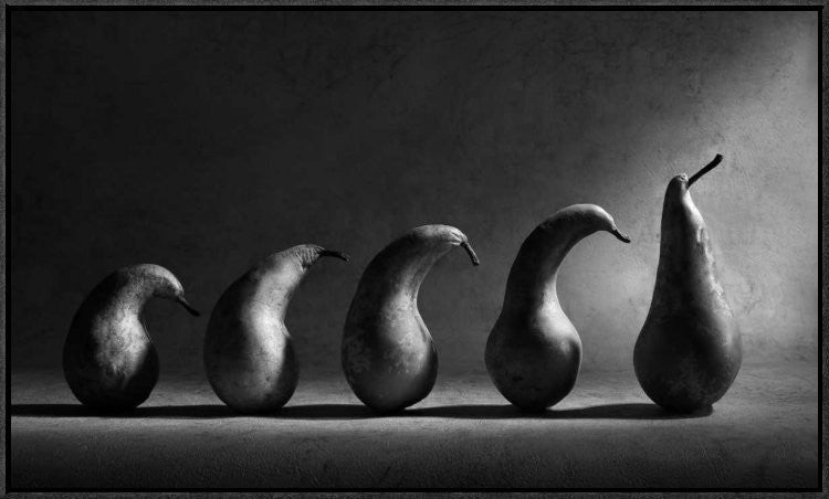 "The Evolution" Framed Canvas Giclee by Victoria Ivanova, 31x18"
