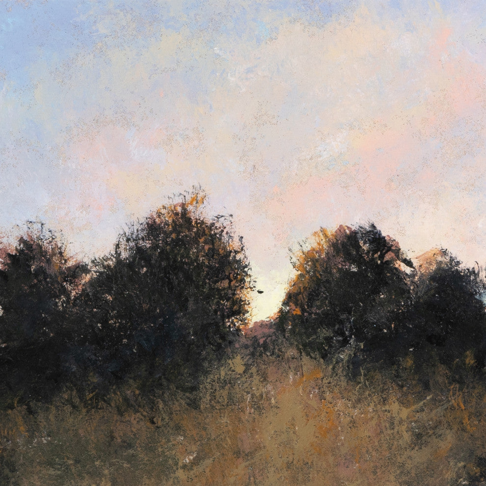 Last Light By Aileen Fitzgerald
