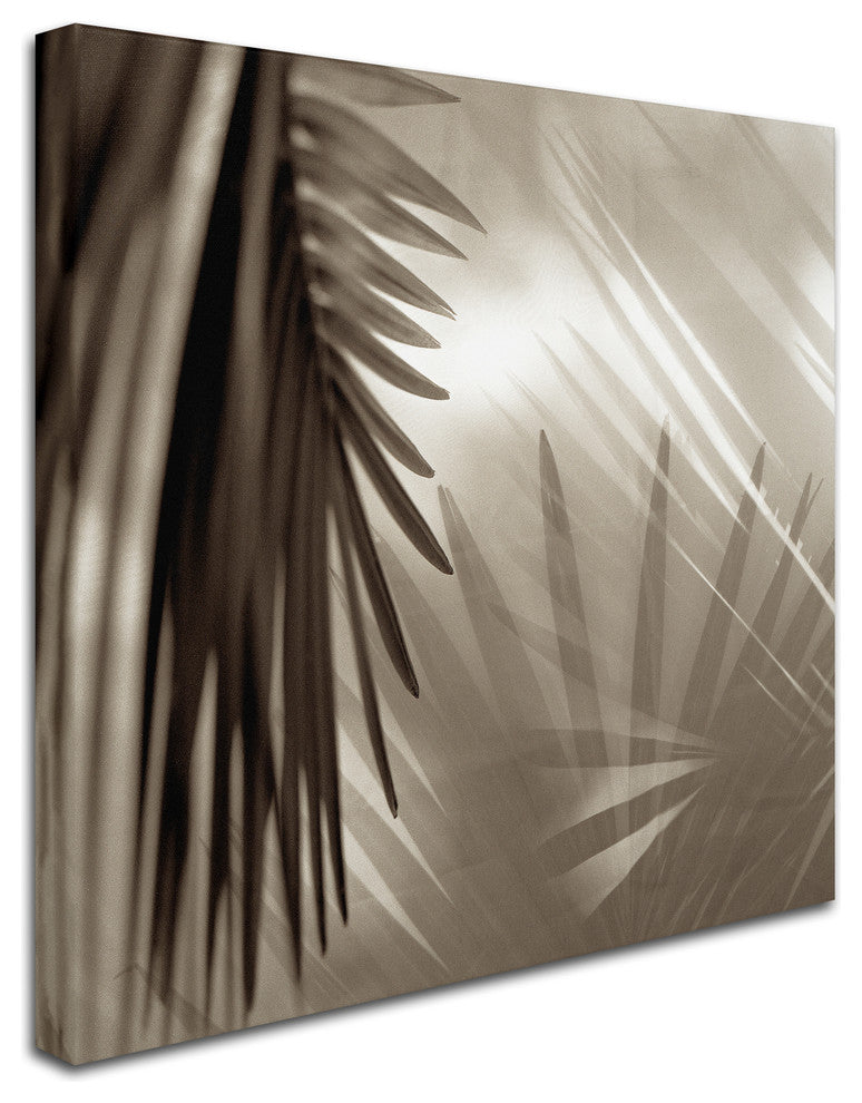 Alan Blaustein 'Florison 55' Canvas Art, 35x35