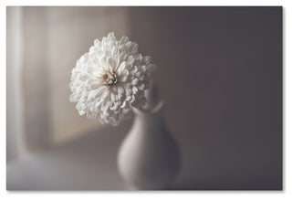 Jose Antonio Sanchez 'Window Light' Canvas Art, 16x24