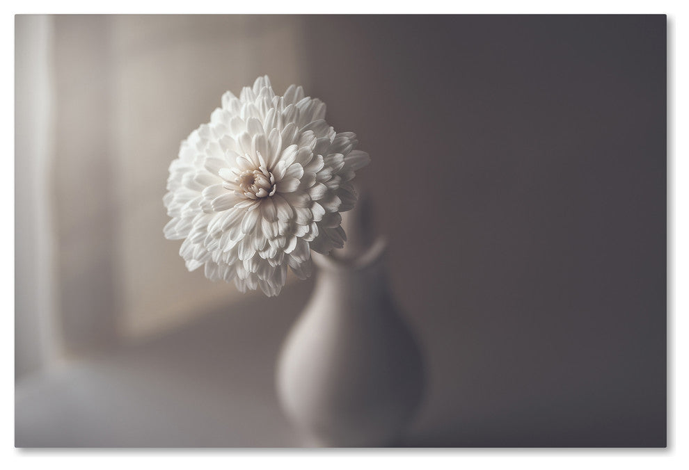 Jose Antonio Sanchez 'Window Light' Canvas Art, 16x24