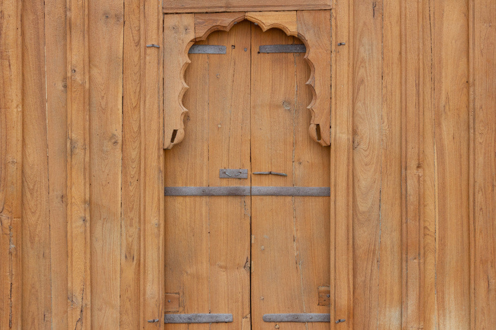 19th Century Indian Door Facade