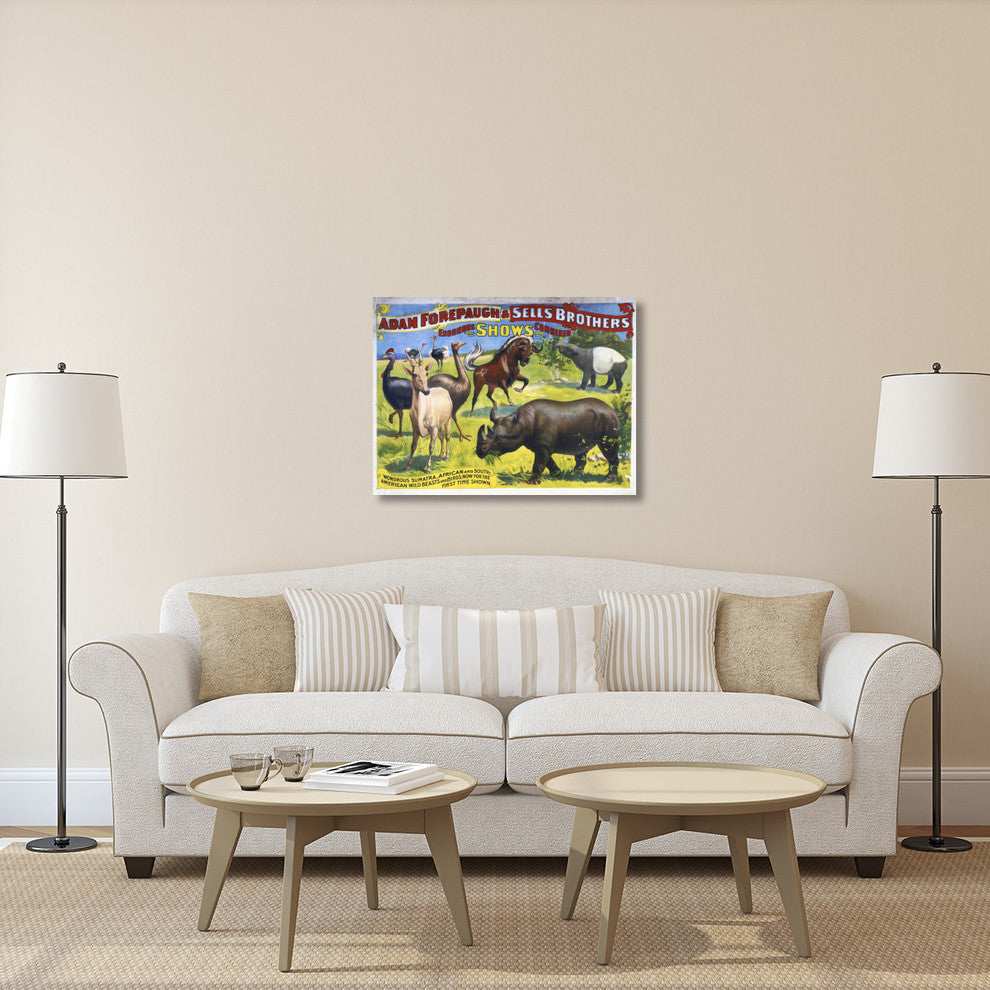 American Wild Beasts And Birds, 40x30