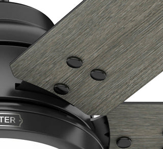 WiFi Gravity Ceiling Fan, LED Light Kit and Handheld Remote, Matte Black, 60"