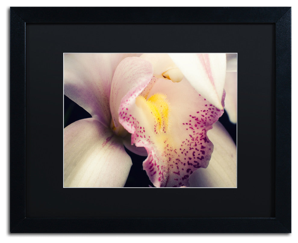 PIPA Fine Art 'Close-Up of Orchid' Matted Framed Art, 20x16