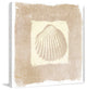 "Sea Shell" Painting Print on Canvas by Irena Orlov