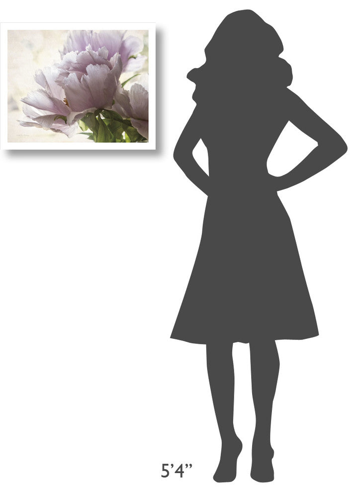 "Translucent Peony I" Digital Paper Print by Debra Van Swearingen, 22"x18"