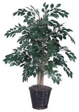 Vickerman 4' Sakaki Bush