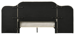 Acme Ranallo Queen Wall Bed