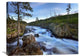 "Firehole River, Yellowstone National Park, Wyoming" Artwork, 32" x 24"