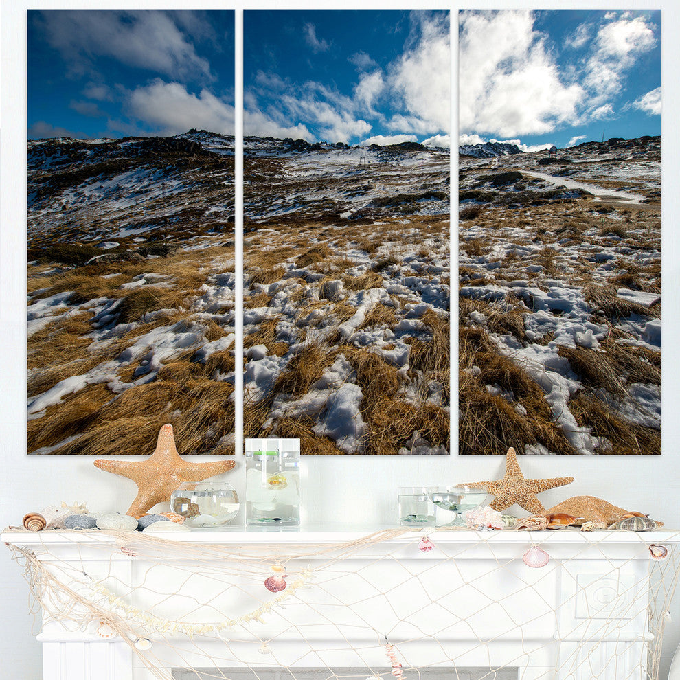"Top of Kosciuszko National Park" Metal Wall Art, 3 Panels, 36"x28"