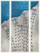 "Making Tracks" Baby Seaturtles Triptych