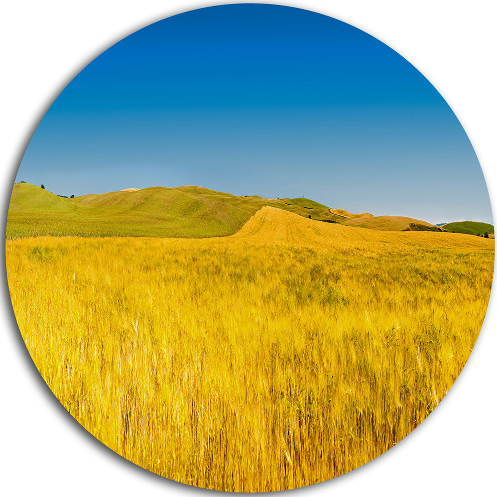 Tuscany Whet Field On Sunny Day, Landscape Disc Metal Wall Art, 11"