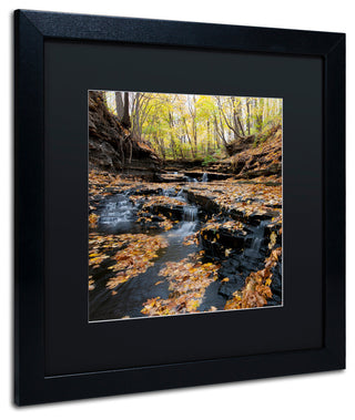 'Lakeview Autumn Falls' Matted Framed Canvas Art by Kurt Shaffer