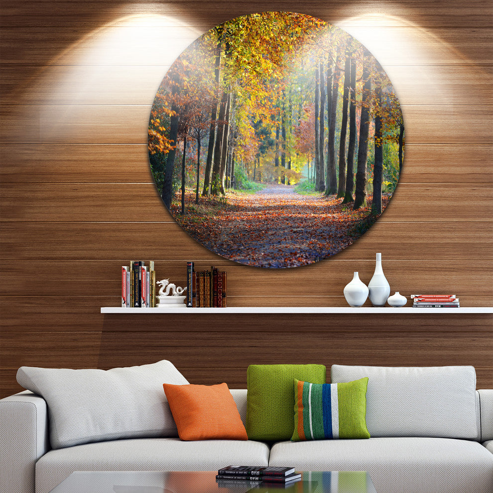 Wide Pathway In Yellow Fall Forest, Landscape Round Metal Wall Art, 11"