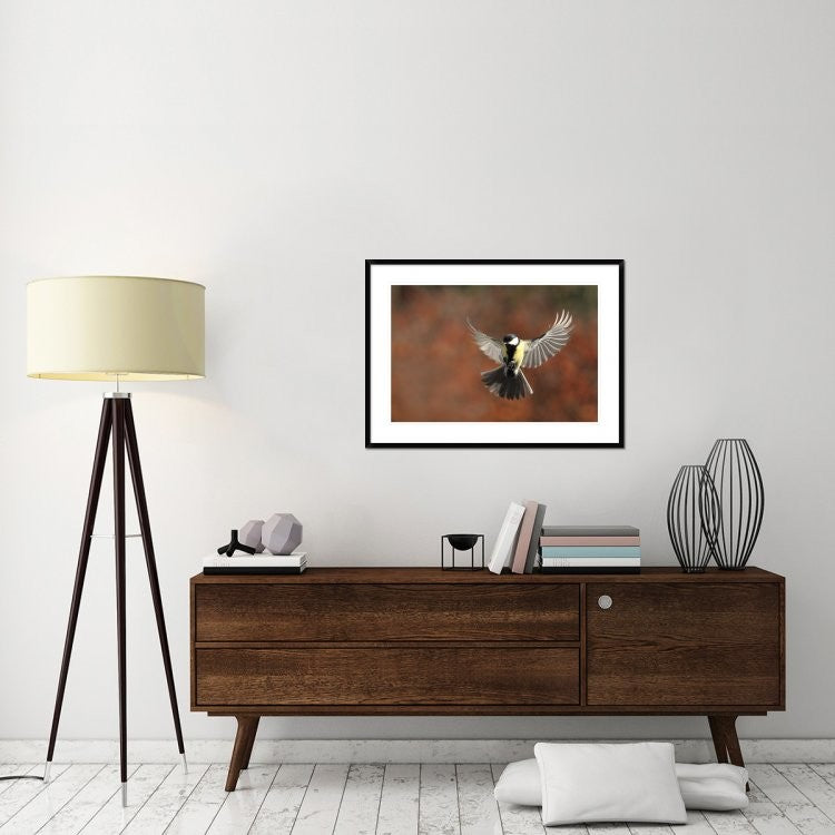 "Fly" Framed Digital Print by Barre Thierry, 38"x28"