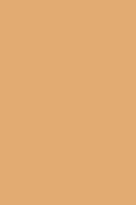 Fowler Pink Dead Flat Paint