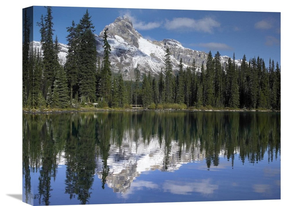 "Wiwaxy Peaks And Cathedral Mountain, British Columbia, Canada" Artwork