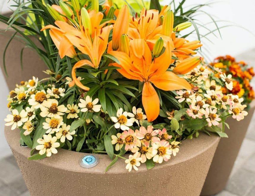 TruDrop Dot Modern Self Watering Planter, Old Bronze, 16''