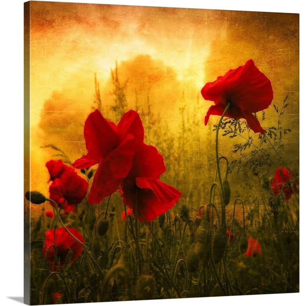 "Red for Love" Wrapped Canvas Art Print, 20"x20"x1.5"