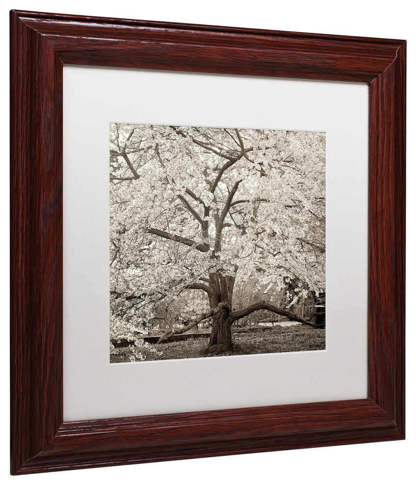 Alan Blaustein 'Hampton Magnolia II' Art, Wood Frame, White Mat, 11x11