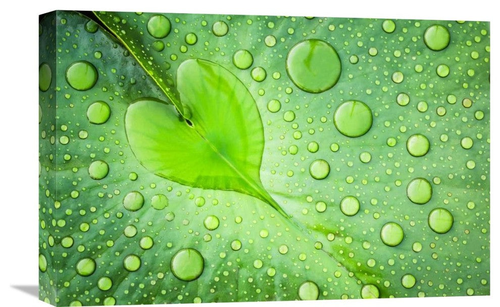 "Heart" Stretched Canvas Giclee by Patrick Foto, 22x15"