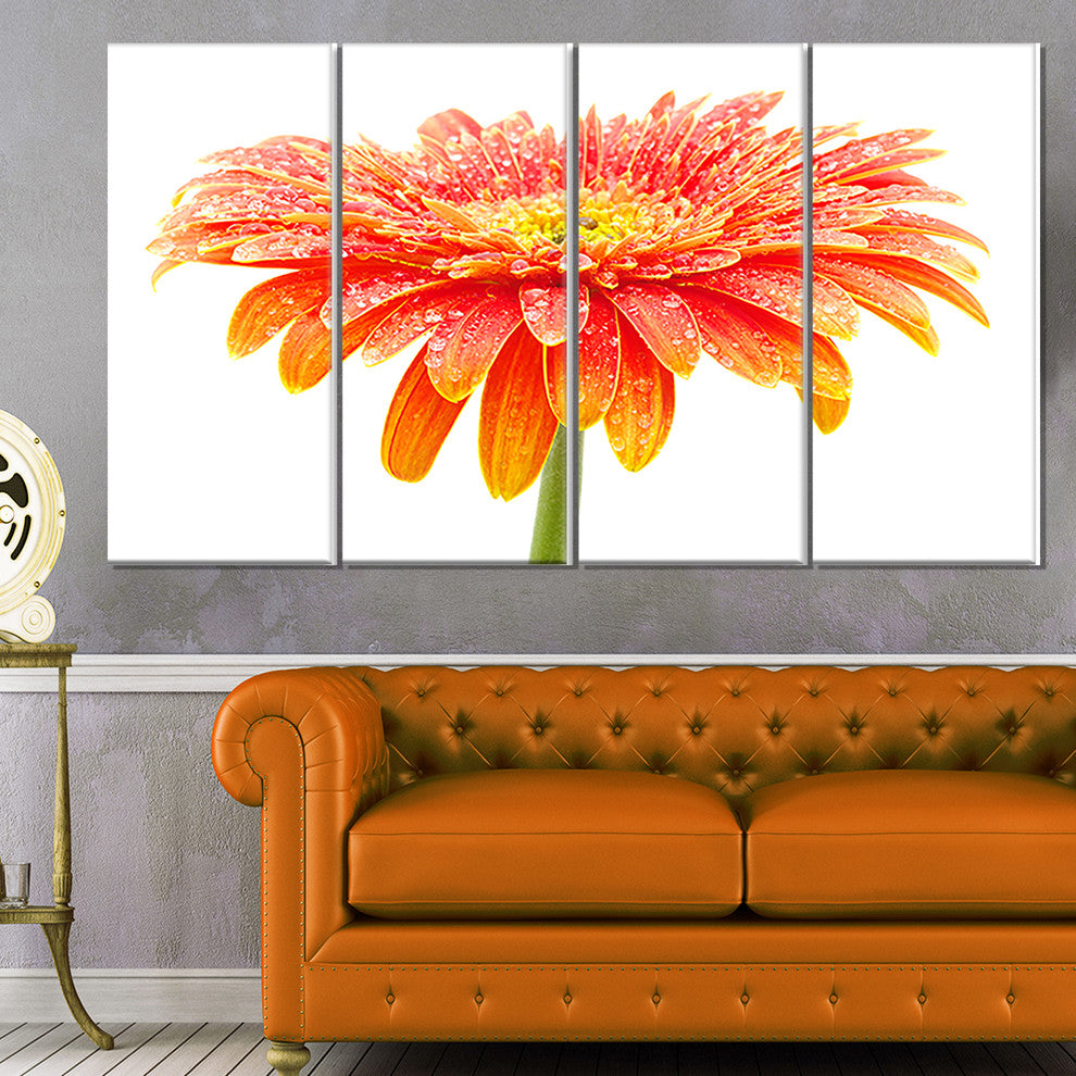 Large Orange Gerbera on White, Floral Canvas Art Print, 48"x28", 4 Panels