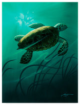 "Green Sea Turtle     " by D. Rusty Rust, Canvas Art
