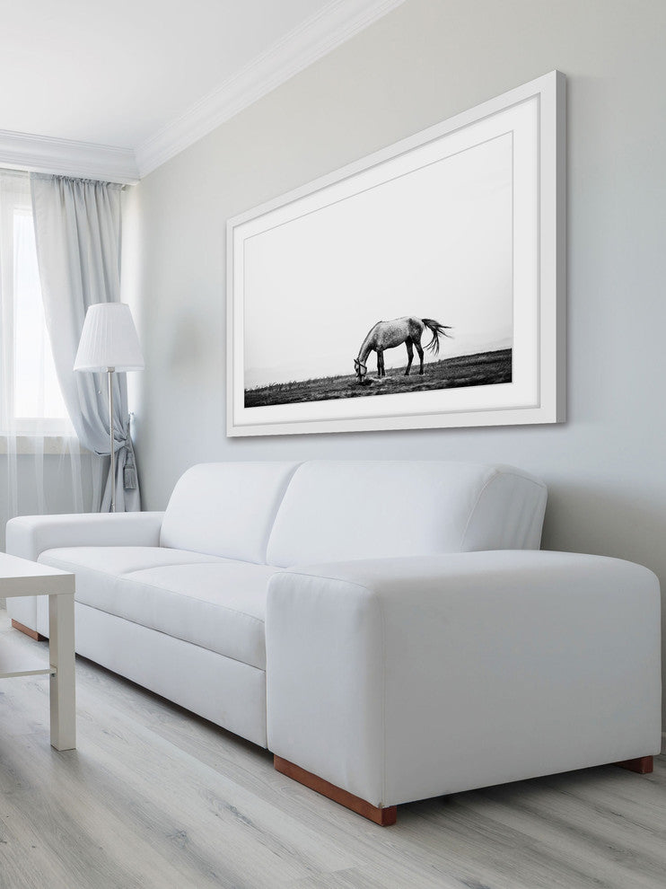 Marmont Hill, "Lone White Equus" Framed Painting Print, 36x24