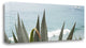 "Spirit 2015" By Alan Blaustein, Giclee Print on Gallery Wrap Canvas