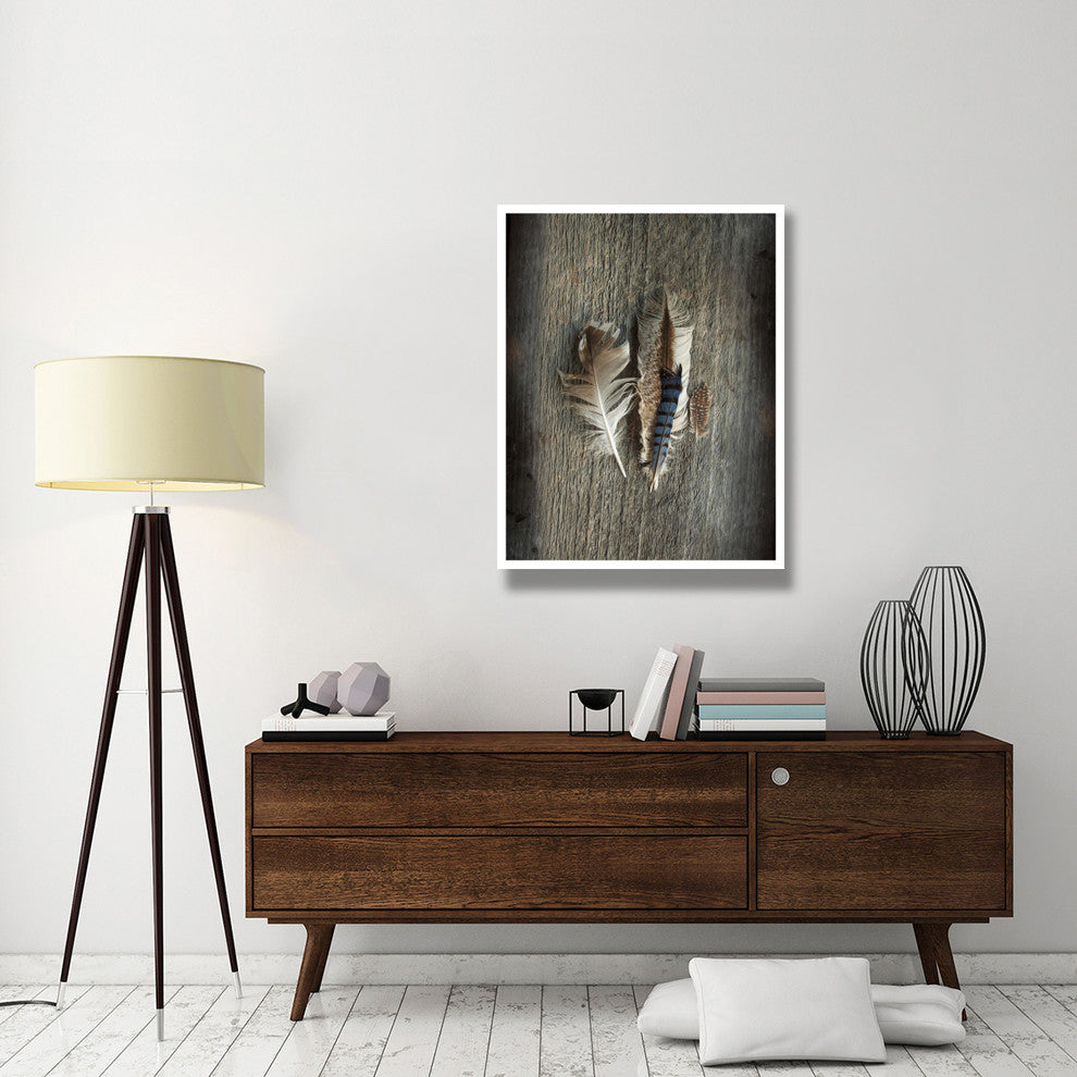 "Feather Collection III" Digital Paper Print by Sue Schlabach, 32"x42"