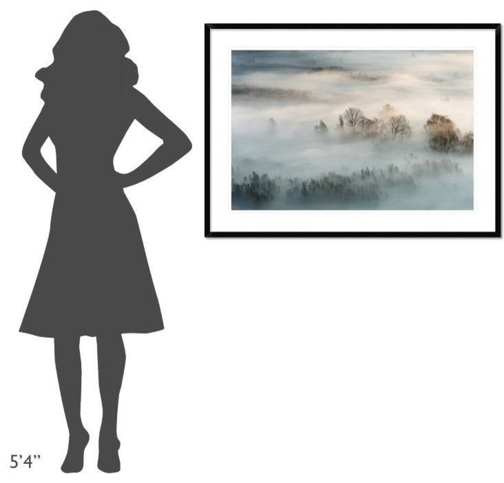 "Winter Fog" Framed Digital Print by Marco Galimberti, 44x32"