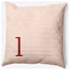 20" x 20" Modern Monogram Indoor/Outdoor Polyester Throw Pillow, Maple Red