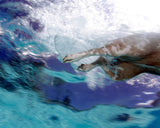 Underwater Photography "Pup Fiction", 16x20