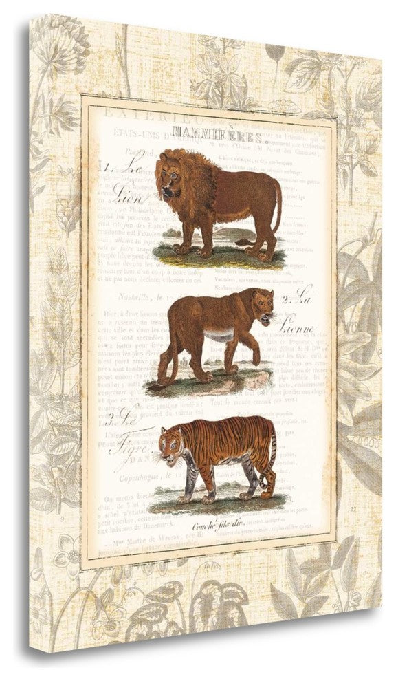 "African Animals IV" By Wild Apple Portfolio, Giclee on Gallery Wrap Canvas