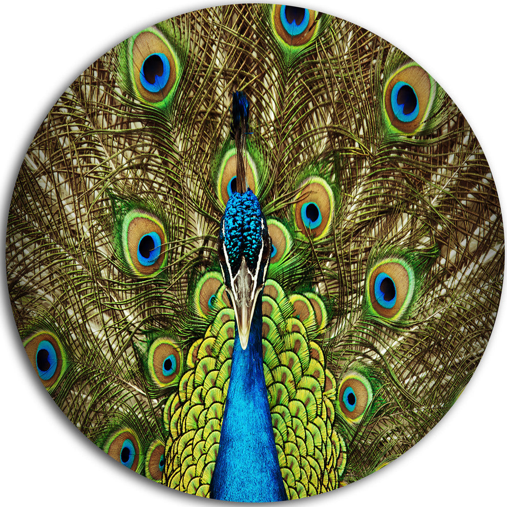 Grand Peacock, Animal Photography Round Wall Art, 11"