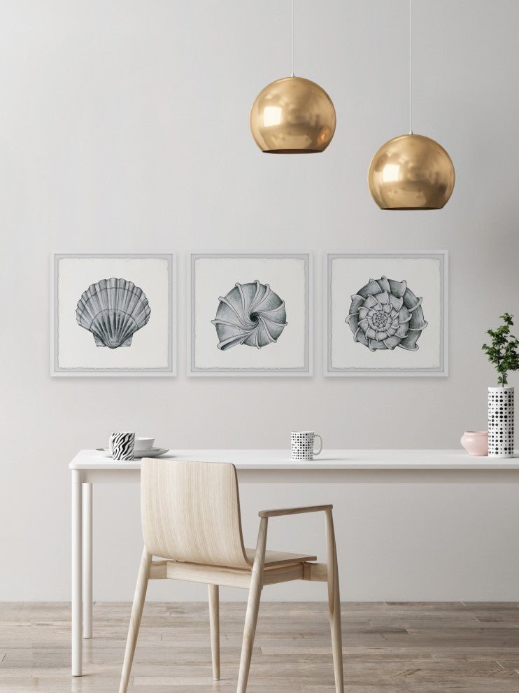 Pretty Shells Triptych, 54"x18"