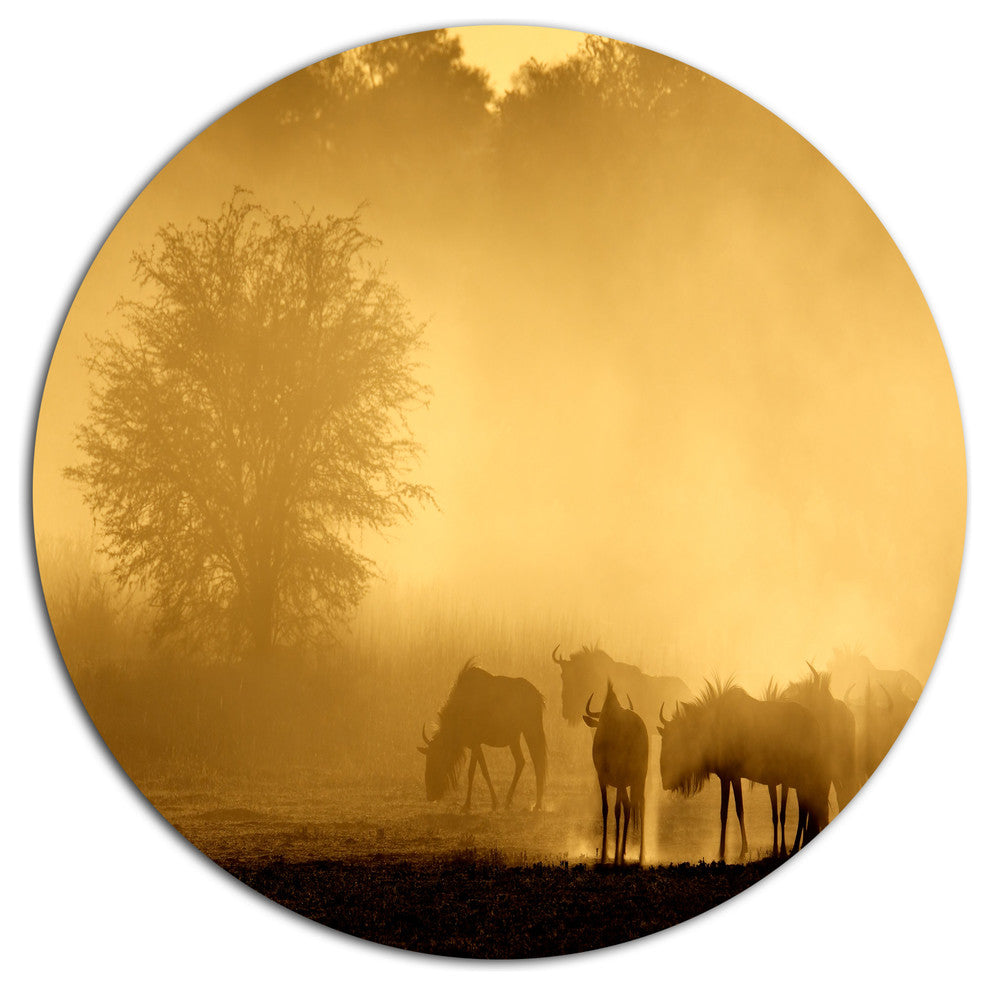 Blue Wildebeest At Sunrise, African Disc Metal Wall Art, 38"