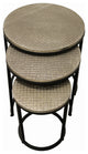 Meenal Metal Cladded Top Round Nesting Table, Silver
