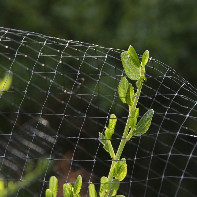 Protective Netting Bird Repellent, Black, 14''x300''