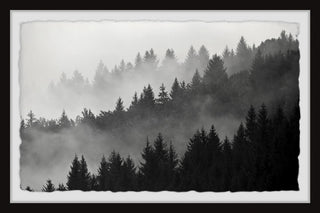 "Foggy Dawn" Framed Painting Print, 45x30