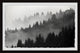 "Foggy Dawn" Framed Painting Print, 45x30