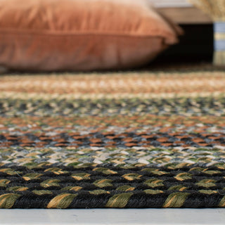 Safavieh Braided Collection BRD308 Rug, Multi, 3'x5'