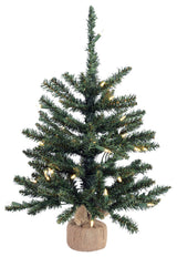 Vickerman B160425Led 24" Anoka Pine Christmas Tree, Warm White Led Lights