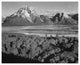 "View toward Mount Moran, Grand Teton National Park, 1941" Paper Art, 18"x15"