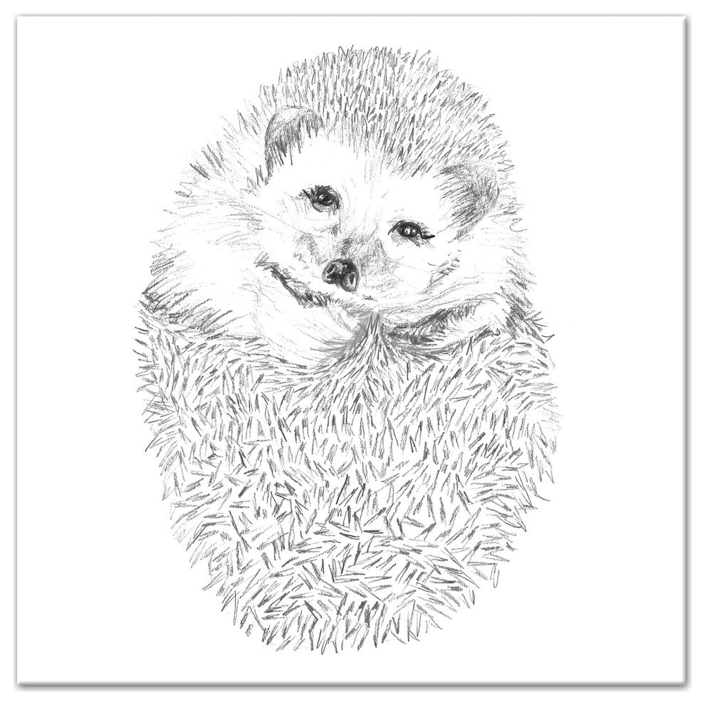 Cute Hedgehog 12x12 Canvas Wall Art